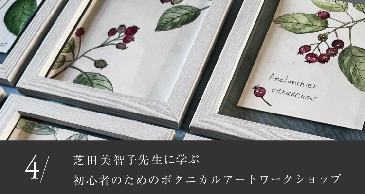 アカデミー第4回ボタニカルアートワークショップ